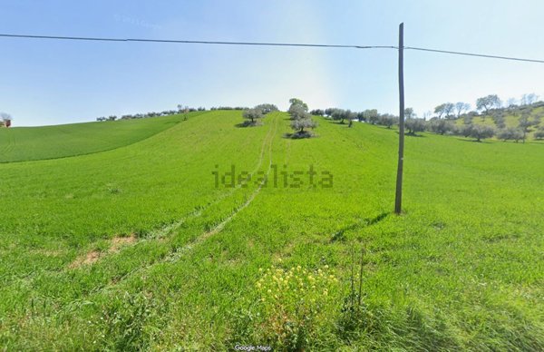 terreno agricolo in vendita a Collecorvino