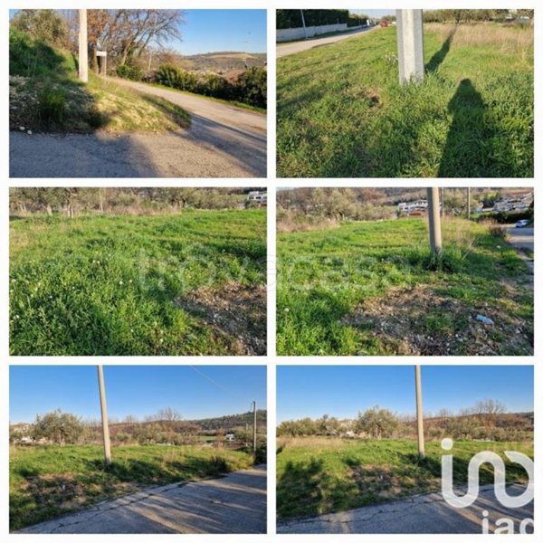 terreno edificabile in vendita a Collecorvino in zona Barberi