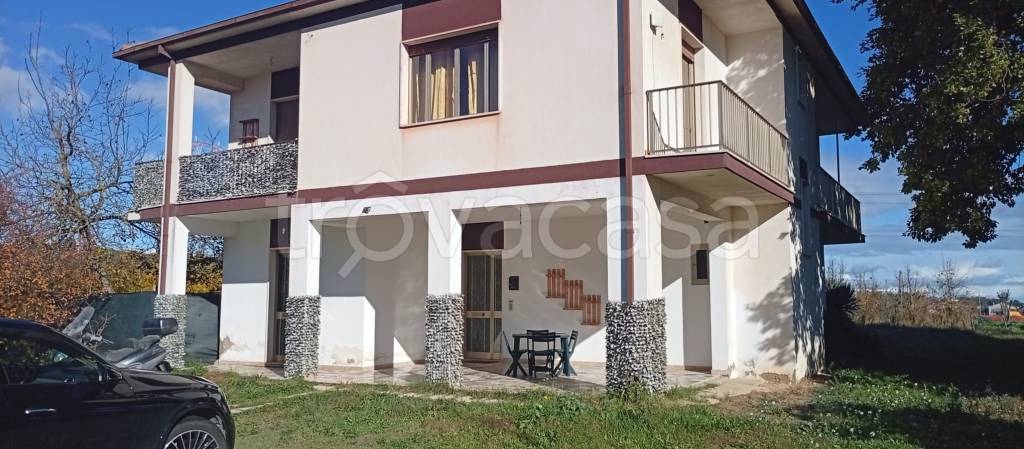 casa indipendente in vendita a Collecorvino