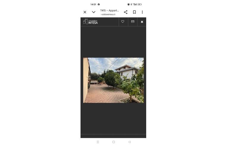 casa indipendente in vendita a Collecorvino