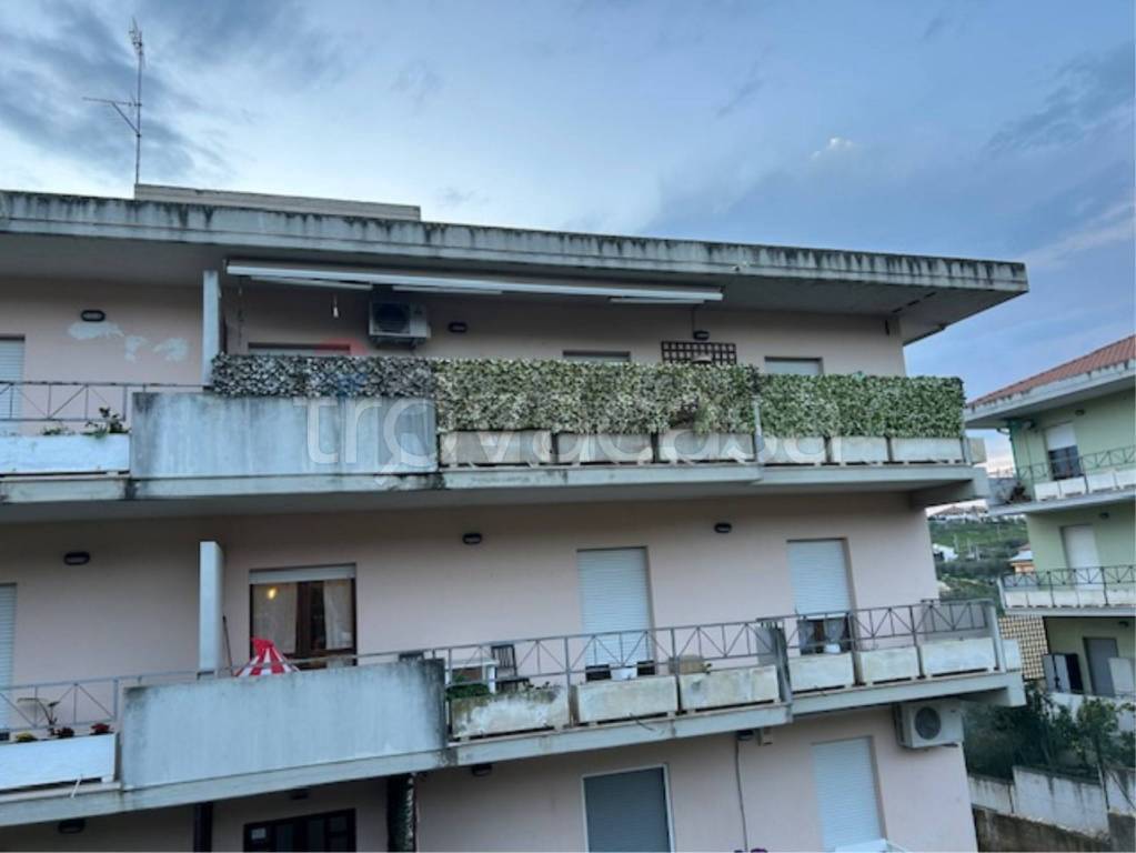 appartamento in vendita a Collecorvino