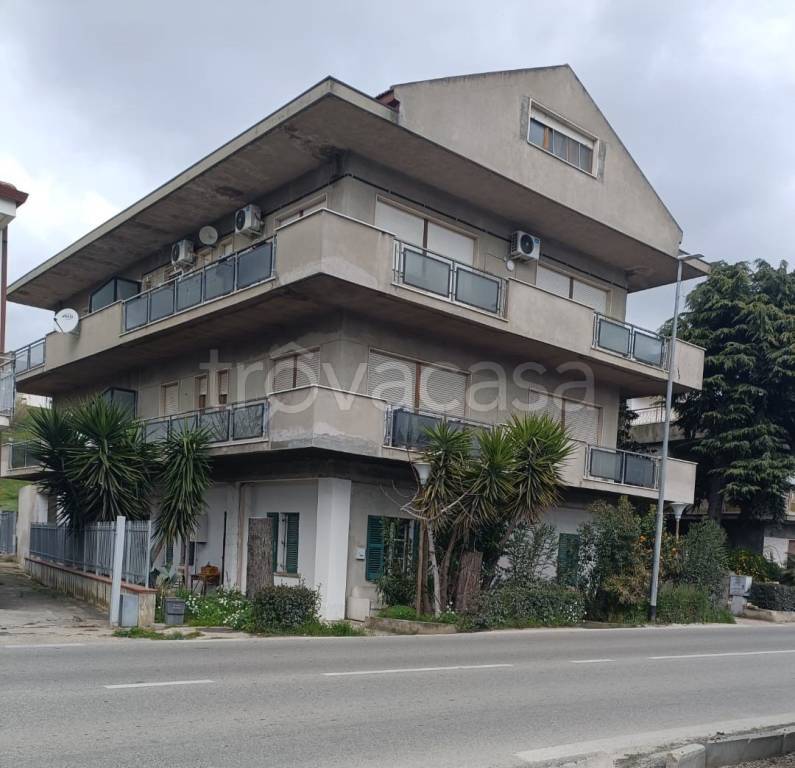 appartamento in vendita a Collecorvino