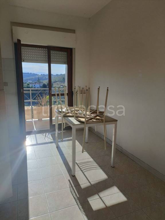 appartamento in vendita a Collecorvino