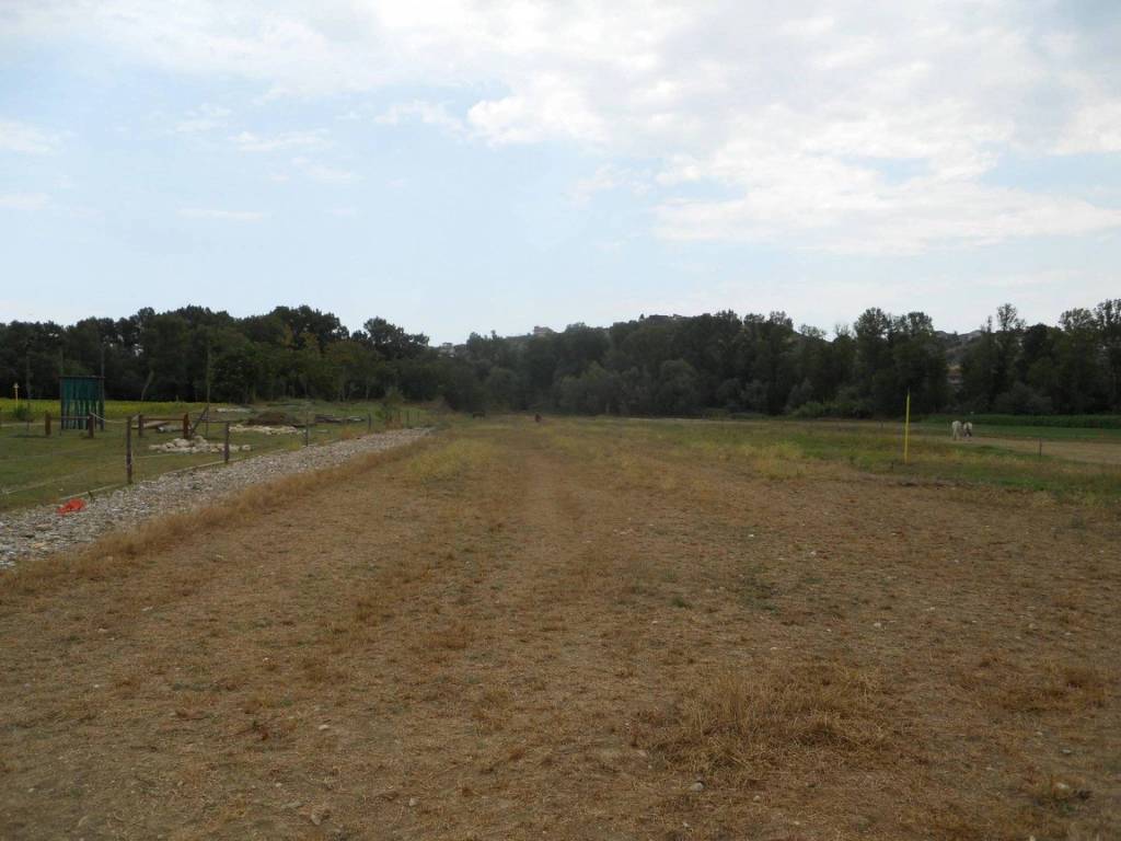 terreno agricolo in vendita a Collecorvino in zona Congiunti