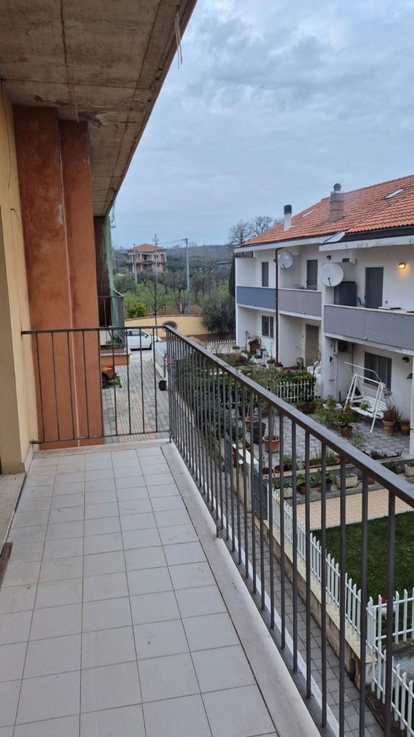 appartamento in vendita a Collecorvino