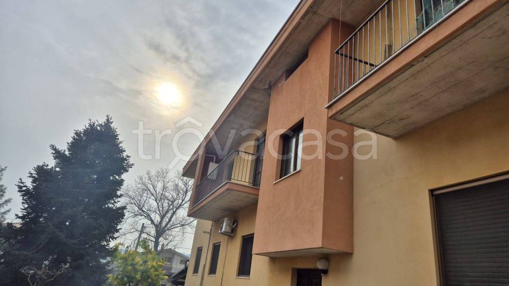 appartamento in vendita a Collecorvino