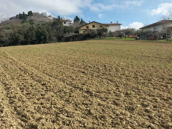terreno agricolo in vendita a Collecorvino