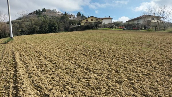 terreno agricolo in vendita a Collecorvino