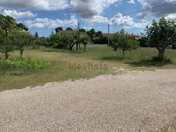 terreno edificabile in vendita a Collecorvino