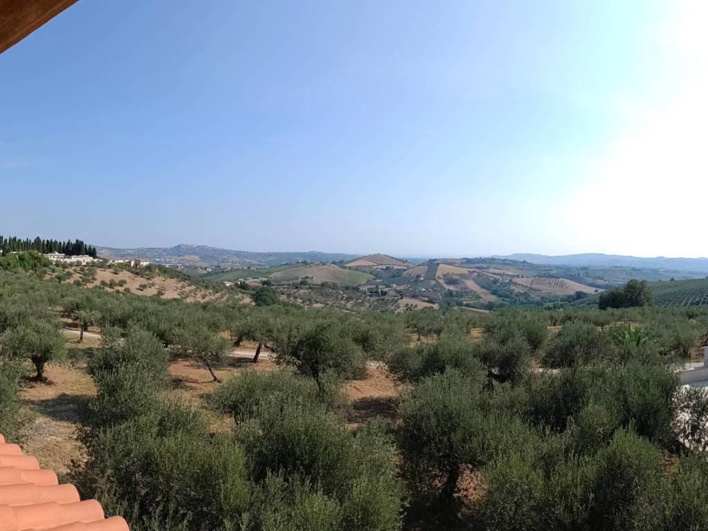 appartamento in vendita a Collecorvino in zona Barberi