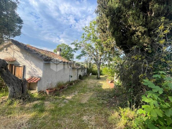 casa indipendente in vendita a Collecorvino