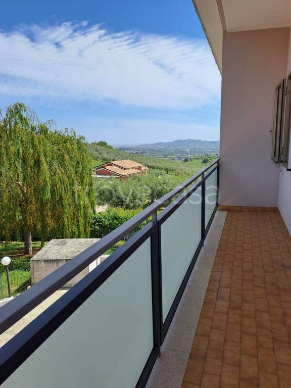 appartamento in vendita a Collecorvino
