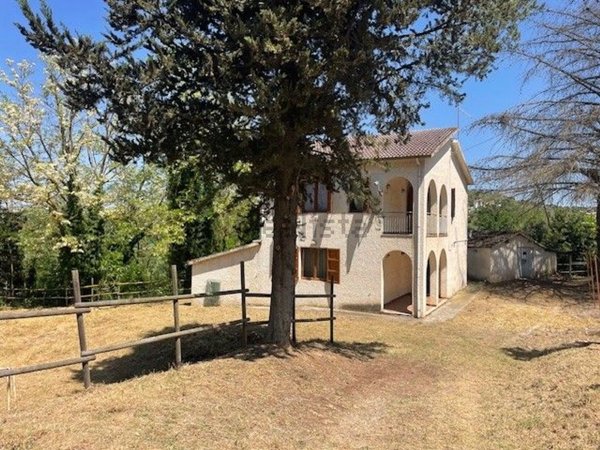 casa indipendente in vendita a Collecorvino