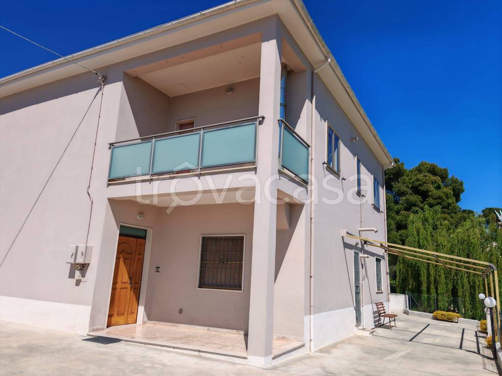 casa indipendente in vendita a Collecorvino