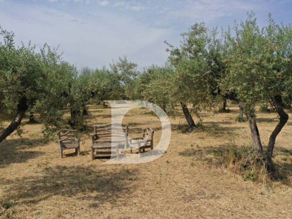 terreno agricolo in vendita a Collecorvino in zona Barberi