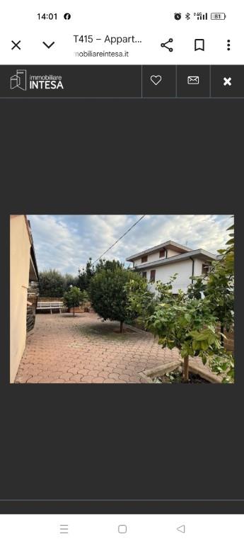 casa indipendente in vendita a Collecorvino in zona Barberi