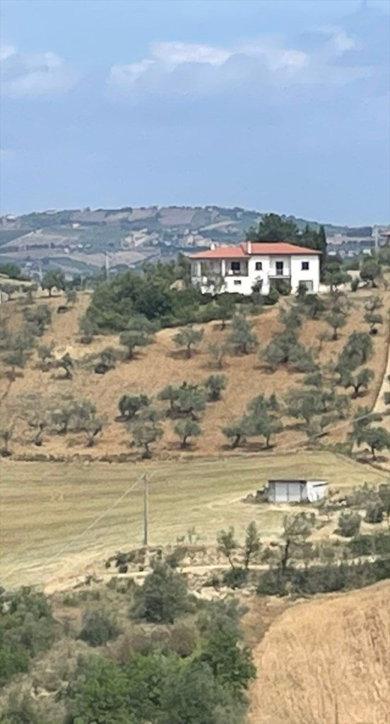 casa indipendente in vendita a Collecorvino