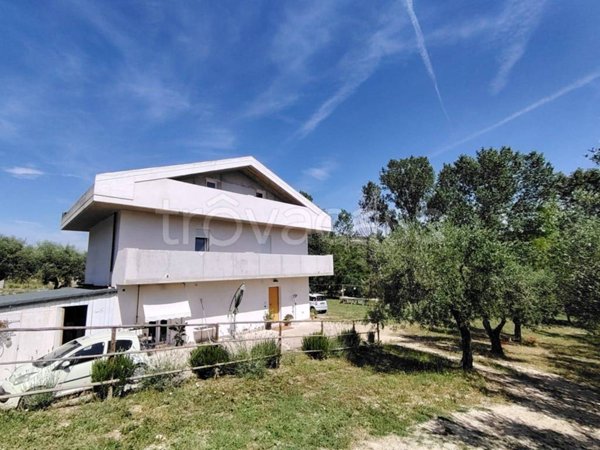 casa indipendente in vendita a Collecorvino in zona Campotino