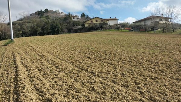 terreno agricolo in vendita a Collecorvino in zona Campotino
