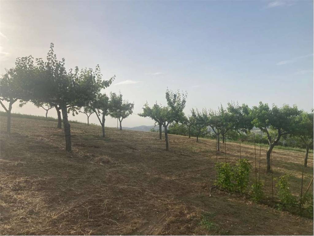 terreno in vendita a Collecorvino in zona Caparrone