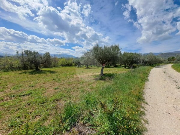 terreno agricolo in vendita a Cugnoli