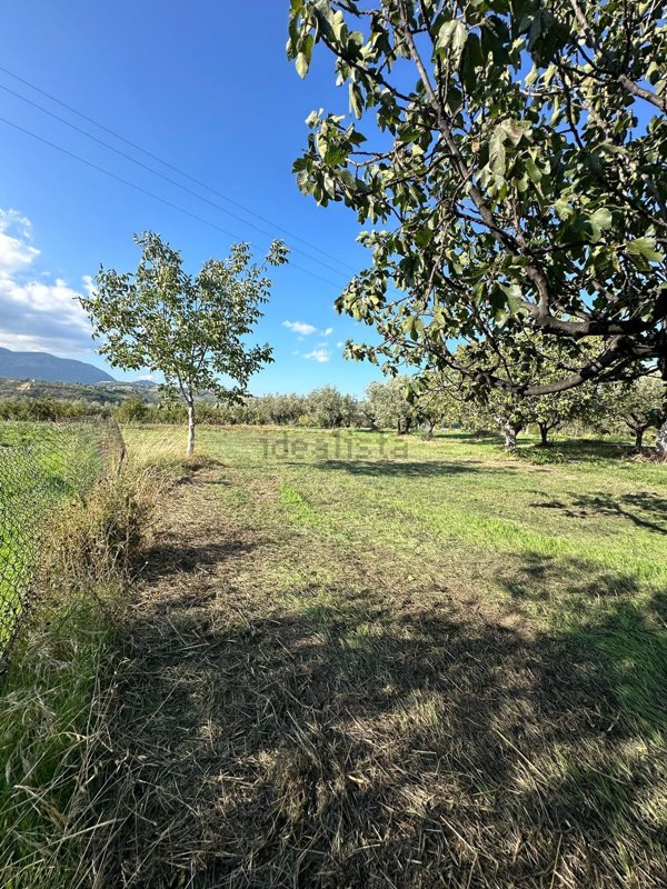 casa indipendente in vendita a Cugnoli