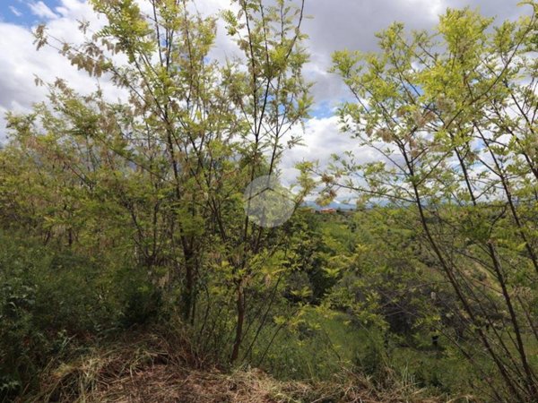 terreno agricolo in vendita ad Elice