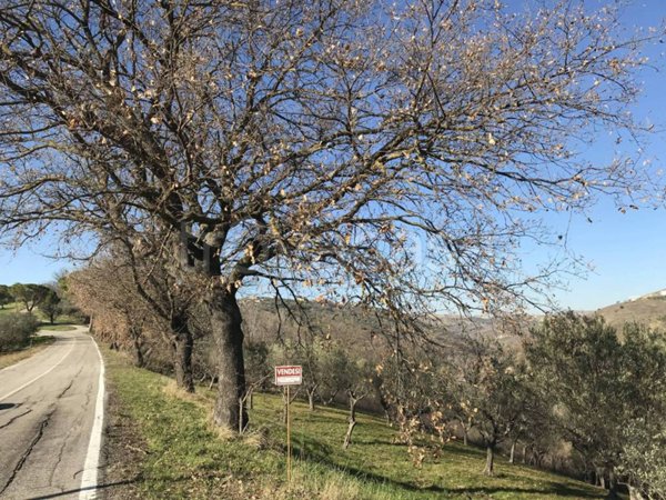 terreno agricolo in vendita ad Elice