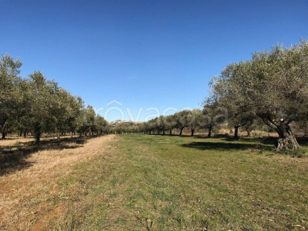 terreno agricolo in vendita ad Elice