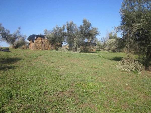 terreno agricolo in vendita ad Elice