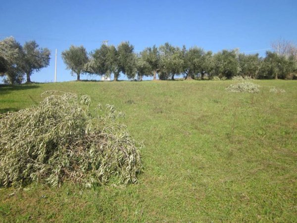 terreno agricolo in vendita ad Elice