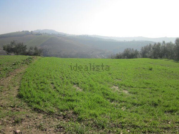 terreno agricolo in vendita ad Elice