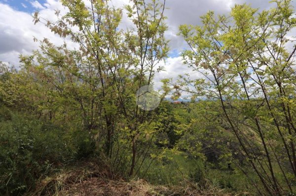 terreno agricolo in vendita ad Elice