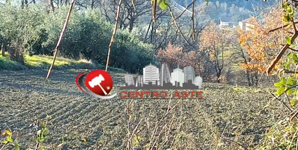 terreno agricolo in vendita a Farindola in zona Trosciano