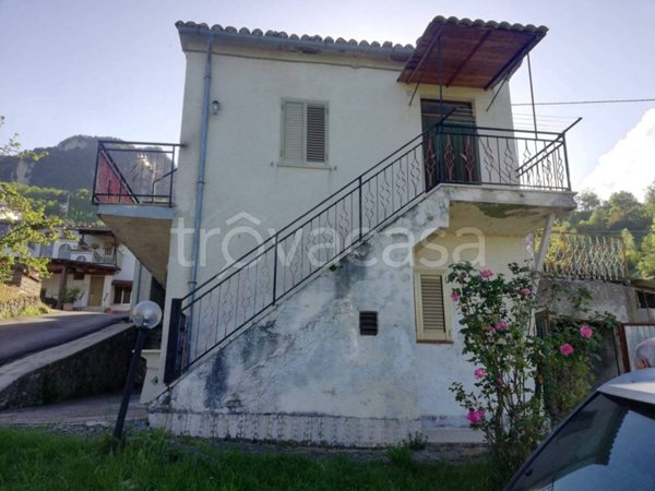immagine annuncio 0 di 15