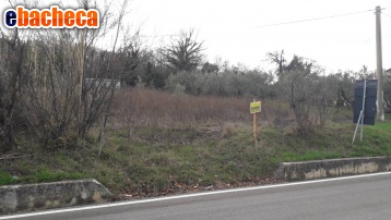 terreno edificabile in vendita a Lettomanoppello