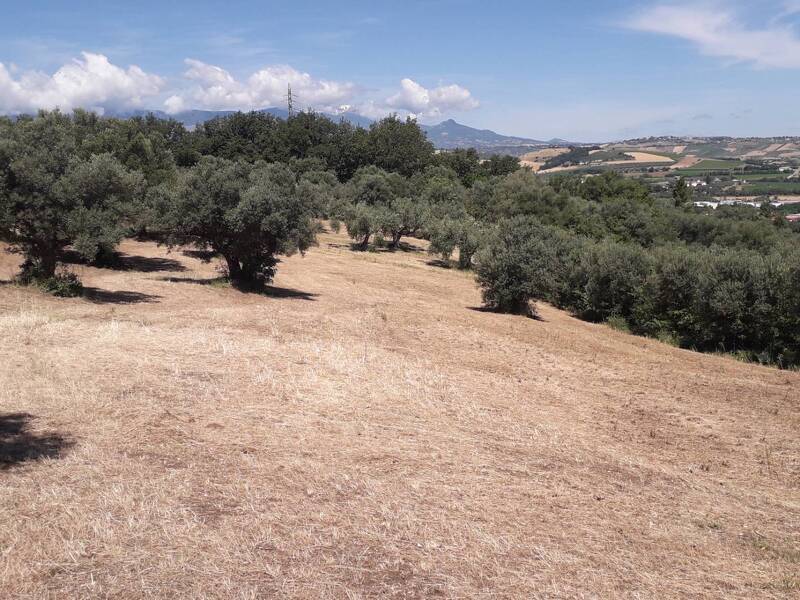 terreno agricolo in vendita a Lettomanoppello in zona Lavino Chiuse