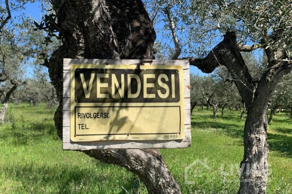 casa indipendente in vendita a Loreto Aprutino in zona Paterno