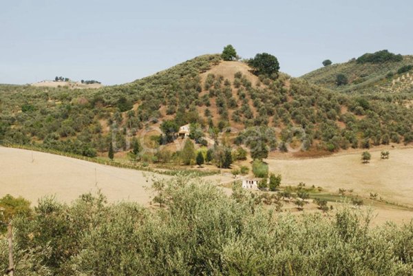 casa indipendente in vendita a Loreto Aprutino