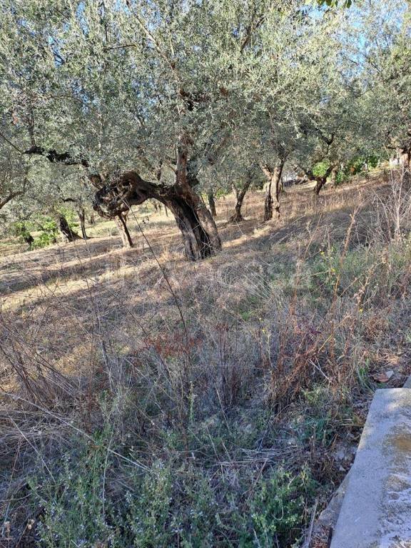 terreno edificabile in vendita a Loreto Aprutino