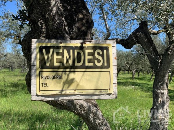 terreno edificabile in vendita a Loreto Aprutino