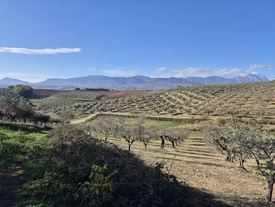 ufficio in vendita a Loreto Aprutino