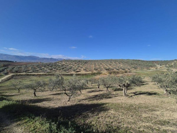 ufficio in vendita a Loreto Aprutino