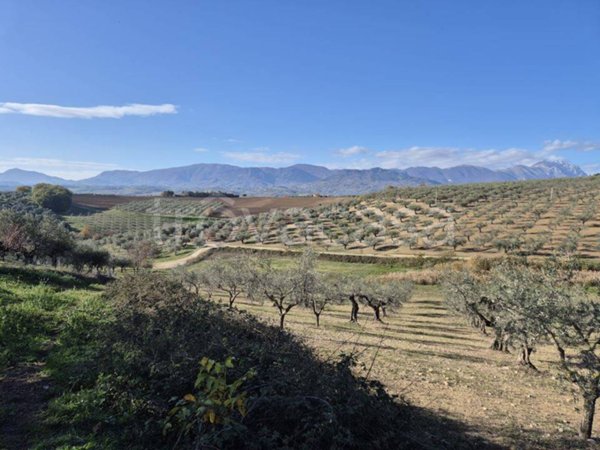 ufficio in vendita a Loreto Aprutino