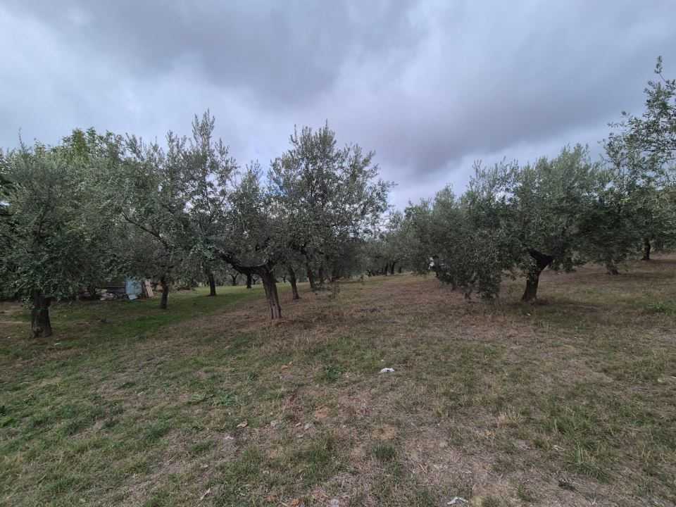 terreno edificabile in vendita a Loreto Aprutino