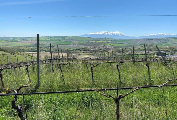 appartamento in vendita a Loreto Aprutino in zona Fiorano