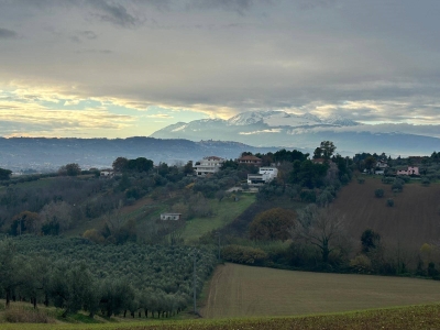 terreno agricolo in vendita a Loreto Aprutino