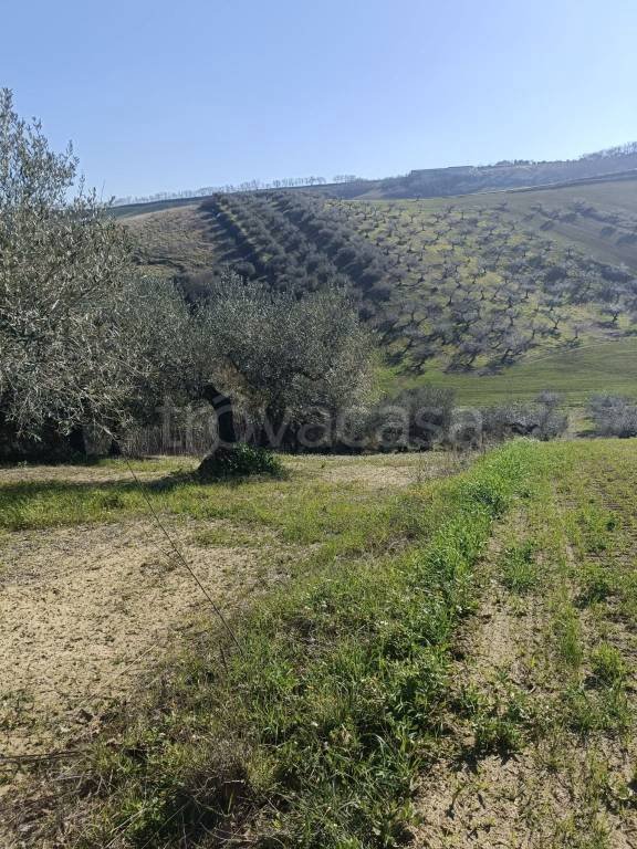 terreno edificabile in vendita a Loreto Aprutino