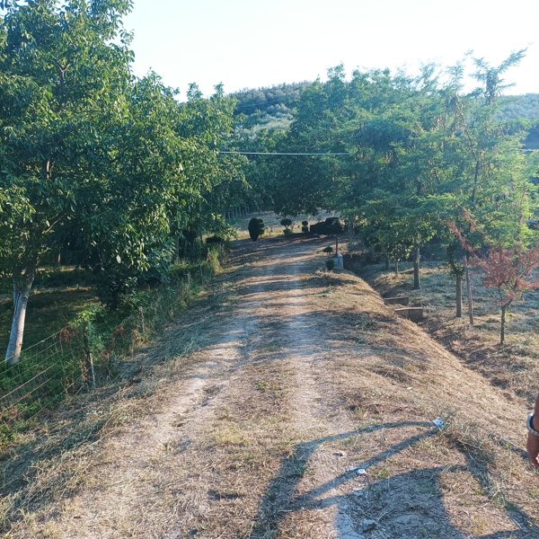 locale di sgombero in vendita a Loreto Aprutino
