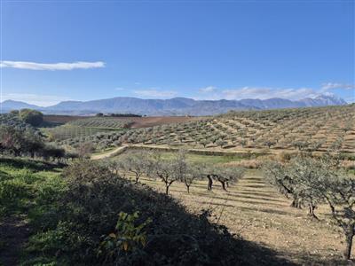 ufficio in vendita a Loreto Aprutino